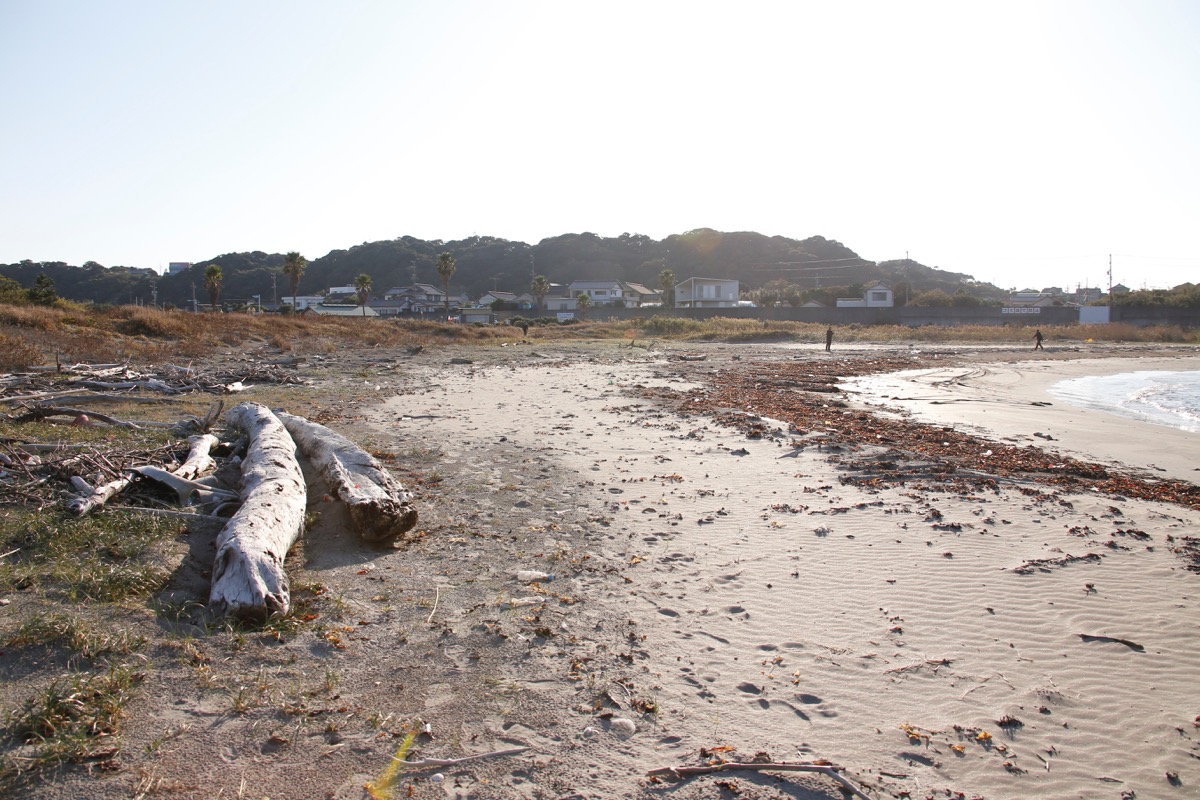 静岡県牧之原市地頭方海浜公園